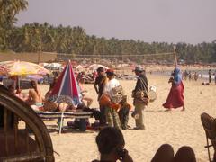 Palolem Beach in Goa, India with lush green palm trees and a serene coastline