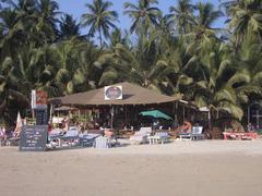 Palm trees and people on Palolem Beach, Goa