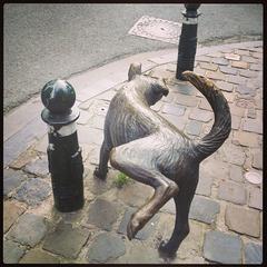 Peeing dog statue in Brussels