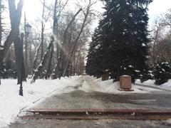 Panfilov Park in February 2019