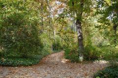 Parque El Capricho, Madrid