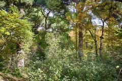 Parque El Capricho in Madrid, Spain