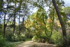 Parque El Capricho in Madrid