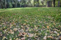 Parque El Capricho in Madrid, Spain