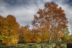 Parque El Capricho in Madrid, Spain