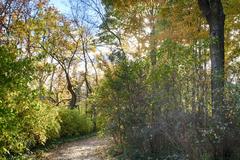 Parque El Capricho, Madrid