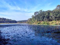 Karamana river near Aruvikkara Dam