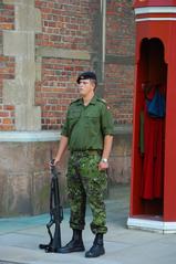 Royal Life Guards conscript standing guard at Rosenborg Castle