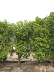 Hanoi Citadel with gate and ancient walls