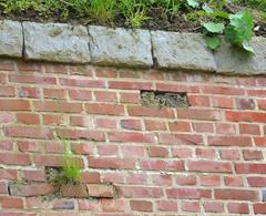 Vibrant plant growth on the walls of Citadel of Lille Vauban