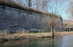 Lille citadel battlement and moat with heron