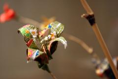 Bud of spring at New Orleans Museum of Art