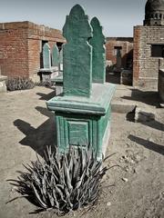 Aloe Vera and gravestone in the City of the Dead, Cairo, Egypt