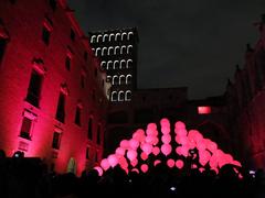 Night view of illuminated art installation at Plaça del Rei in Barcelona