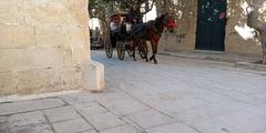 modern guard stone with horse-drawn carriage in Mdina