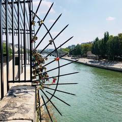 love padlocks on Pont de l'Archevêché bridge in Paris