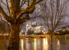 Paris flood by night with Notre-Dame and Pont de l'Archevêché