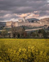 Basilica of San Francesco in Assisi