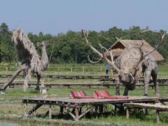 Giant animal sculpture made of rice straw at Huai Tueng Thao Lake, Mae Rim, Chiang Mai, Thailand