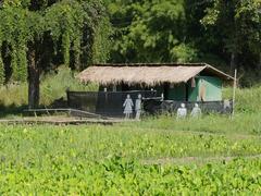 Huai Tueng Thao visitor huts