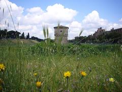 Roma Circo Massimo torre della Moletta e Palatino