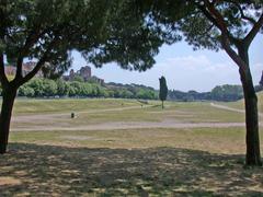 Aerial view of Circo Massimo in Rome