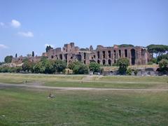 View of the Palatine Hill and Circus Maximus in Rome