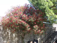 Saint Paul de Vence in Provence-Alpes-Côte d'Azur, France