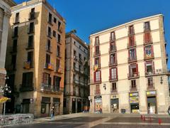 Plaça de Sant Jaume in Barcelona with Carrer de la Llibreteria in the background