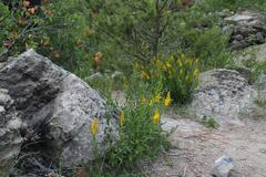 Růženin lom quarry