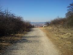 Brno hády landscape