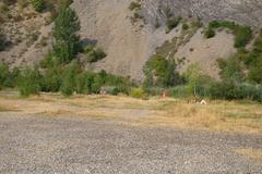 Nudists and people in swimsuits at Růženin Quarry