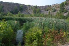 Hluboké jezírko in Růženin quarry