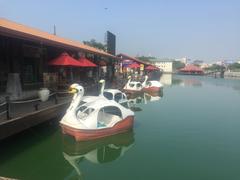 Swan paddle boat at Pettah Floating Market in Colombo