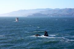 Mile Rocks Lighthouse with the Golden Gate and Marin County in the background