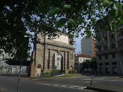 Ulmus tree in Milan, 2014