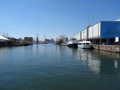 Panoramic view of Porto Antico in Genoa