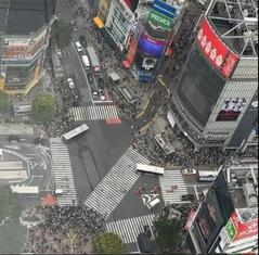 Shibuya Crossing view from tower