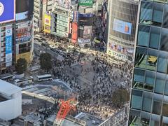 Shibuya scramble in March 2024