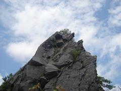 Large rock formation at Quincy Quarries Reservation with climber among foliage