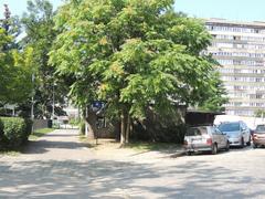 Wrocław Żelazna Street