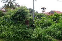 La Oceana Colony neighborhood in Panjim, with colorful buildings and lush greenery