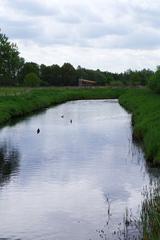 Großer Stauteich at Rieselfelder Münster bird sanctuary