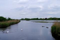 Großer Stauteich in Vogelschutzgebiet Rieselfelder Münster