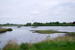 DE-3911-401 nature reserve Vogelschutzgebiet Rieselfelder Münster with large pond