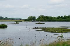 Rieselfelder Münster nature reserve - Großer Stauteich