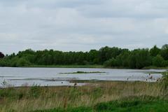 DE-3911-401 bird sanctuary Rieselfelder Münster large detention pond