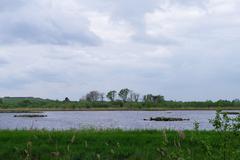 DE-3911-401 vogel sanctuary Rieselfelder Münster large pond