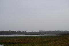 Bird protection area Rieselfelder Münster large retention pond