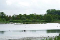 DE-3911-401 Wildlife Sanctuary Rieselfelder Münster - Large Retention Pond